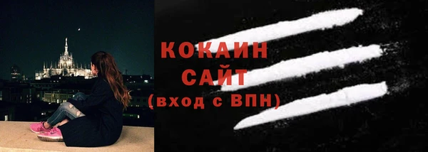 сатива Богданович