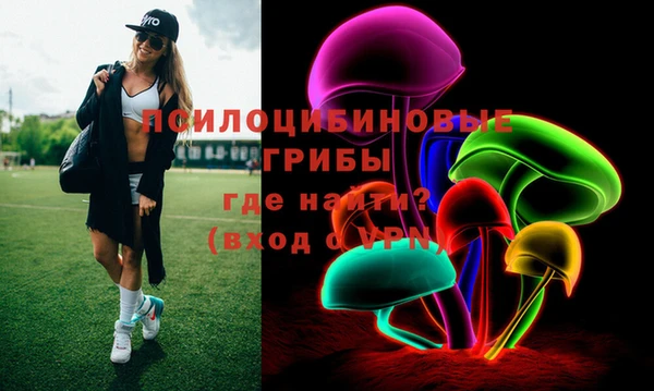 сатива Богданович