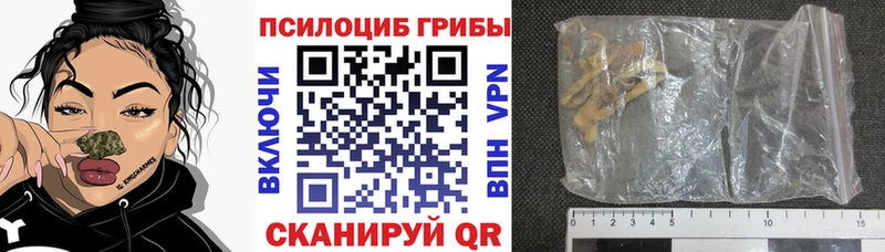 Галлюциногенные грибы прущие грибы  Туран 